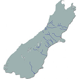 rivers-of-south-island-new-zealand